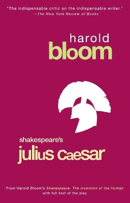 Julius Caesar book