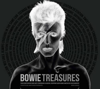 Bowie Treasures book