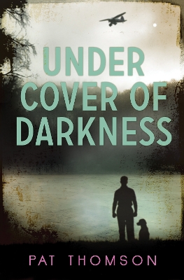 Under Cover of Darkness book