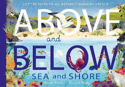 Above and Below: Sea and Shore: Lift the flaps to see nature's wonders unfold book