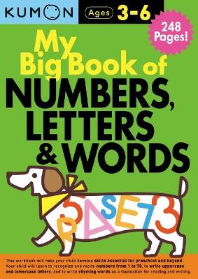 My Big Book of Numbers, Letters & Words book