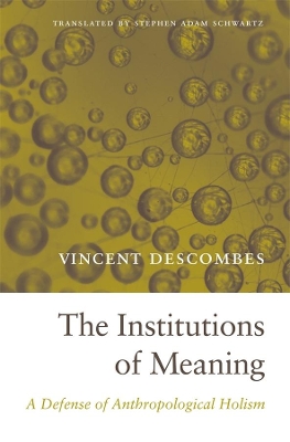 Institutions of Meaning book