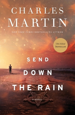 Send Down the Rain by Charles Martin