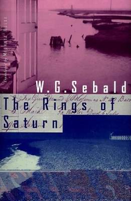 Rings of Saturn book