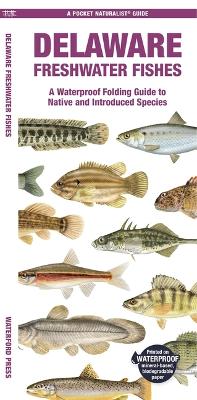 Delaware Freshwater Fishes: A Waterproof Folding Guide to Native and Introduced Species book