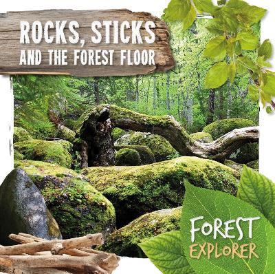 Rocks, Sticks & the Forest Floor book