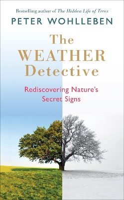 The Weather Detective by Peter Wohlleben
