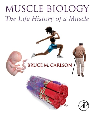 Muscle Biology: The Life History of a Muscle book