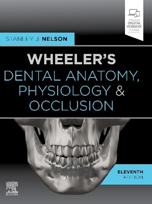 Wheeler's Dental Anatomy, Physiology and Occlusion by Stanley J. Nelson