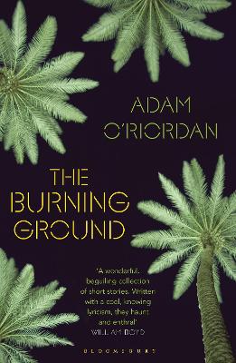 The The Burning Ground by Adam O'Riordan