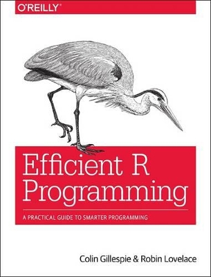 Efficient R Programming book