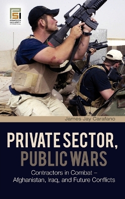 Private Sector, Public Wars book