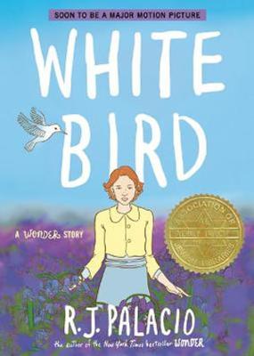 White Bird: A Wonder Story (A Graphic Novel) book