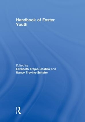 Handbook of Foster Youth book