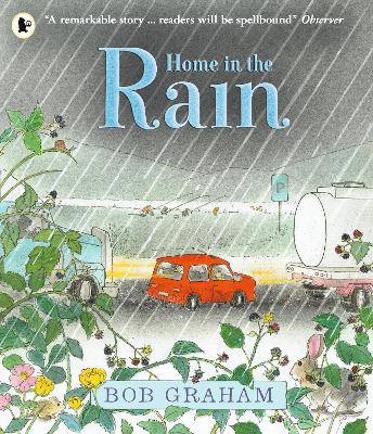 Home in the Rain by Bob Graham