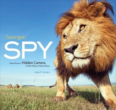 Serengeti Spy book