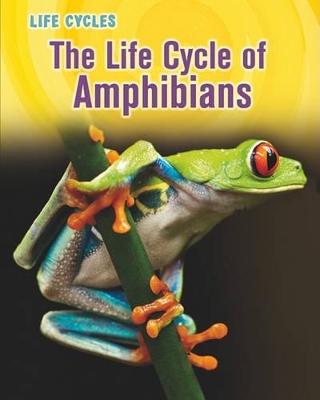The Life Cycle of Amphibians by Darlene R Stille