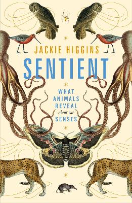 Sentient: What Animals Reveal About Our Senses book