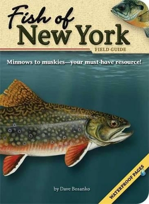 Fish of New York Field Guide book