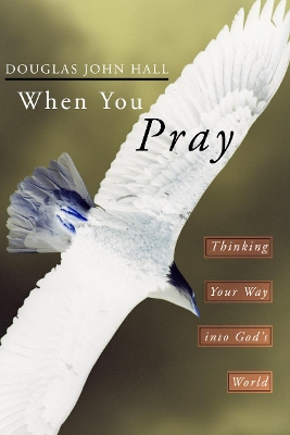 When You Pray book