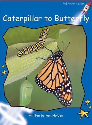 Caterpillar to Butterfly book