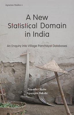 A New Statistical Domain in India – An Enquiry Into Village Panchayat Databases book