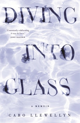 Diving into Glass book