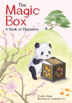 The Magic Box: A Book of Opposites book