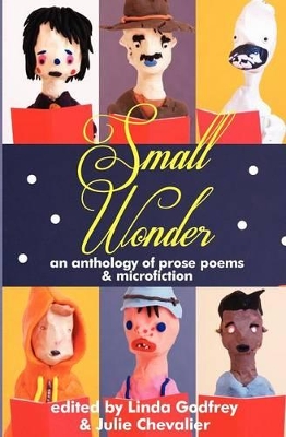 Small Wonder book