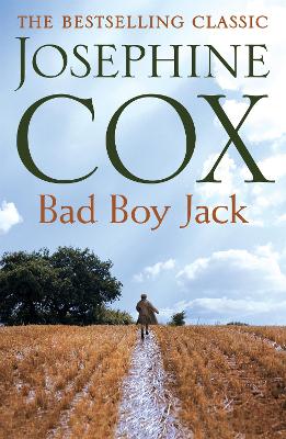 Bad Boy Jack book