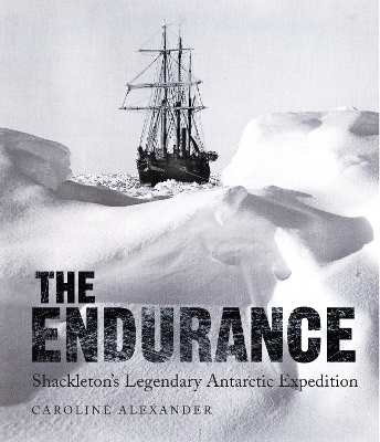 Endurance book