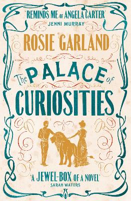 Palace of Curiosities book