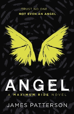 Maximum Ride: Angel book