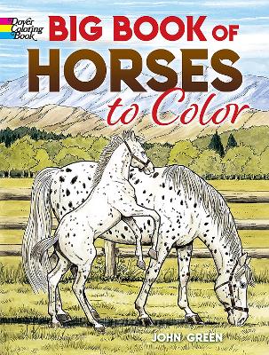 Big Book of Horses to Color by John Green