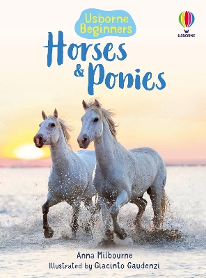 Horses And Ponies book