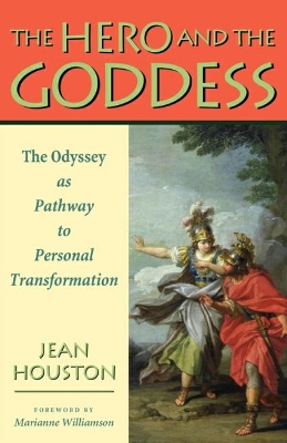 Hero and the Goddess book