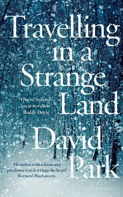 Travelling in a Strange Land by David Park