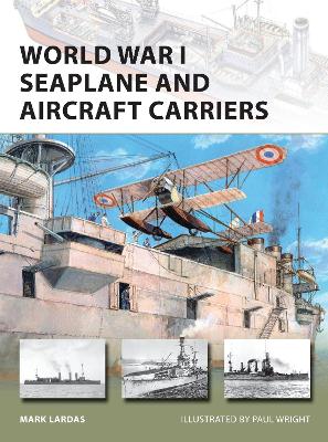 World War I Seaplane and Aircraft Carriers book