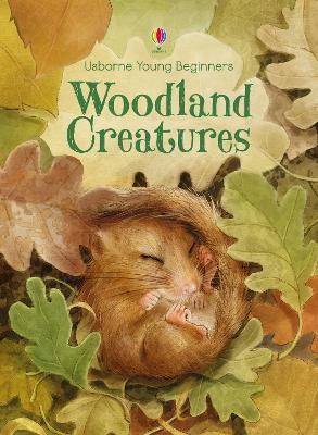 Young Beginners Woodland Creatures book