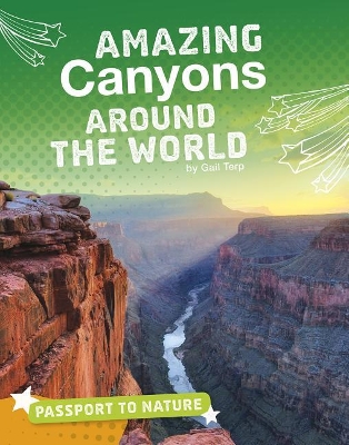 Amazing Canyons Around the World book