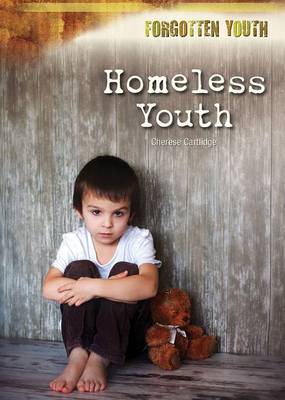 Homeless Youth book