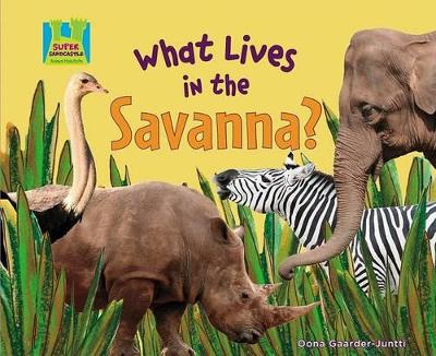 What Lives in the Savanna? book