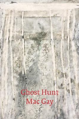 Ghost Hunt book