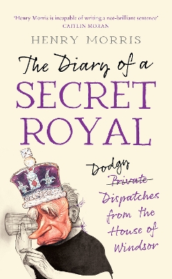 The Diary of a Secret Royal book