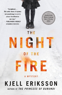 The Night of the Fire: A Mystery book