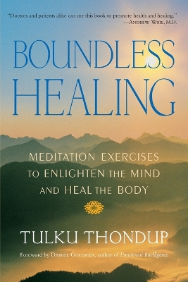 Boundless Healing book