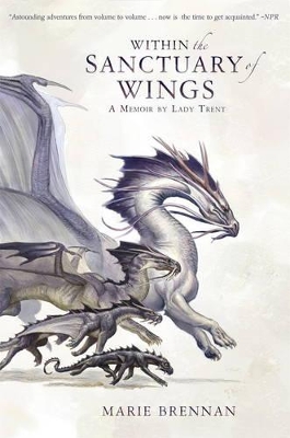 Within the Sanctuary of Wings book