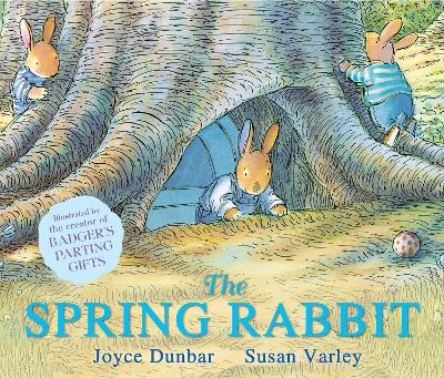 Spring Rabbit book
