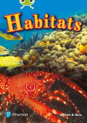 Bug Club Independent Non Fiction Year Two Lime Plus Non Fiction Habitats by William Rice