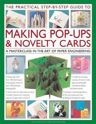 Practical Step-by-Step Guide to Making Pop-ups and Novelty Cards book